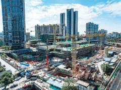 这种生态取贸易、栖身的完